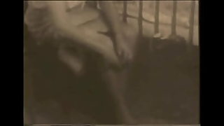 free lesbian older milf